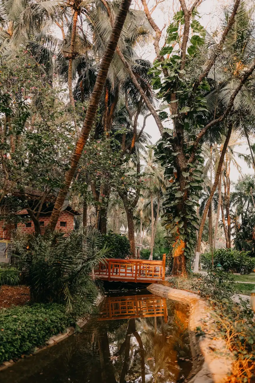 Retraite yoga — Inde